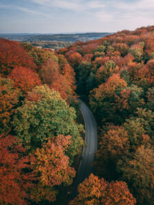 L'automne dans le Pays de Montbéliard