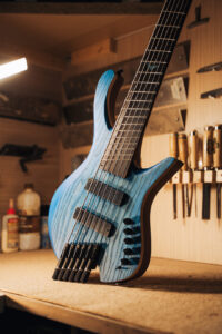 Mathieu Solbach basse bleue